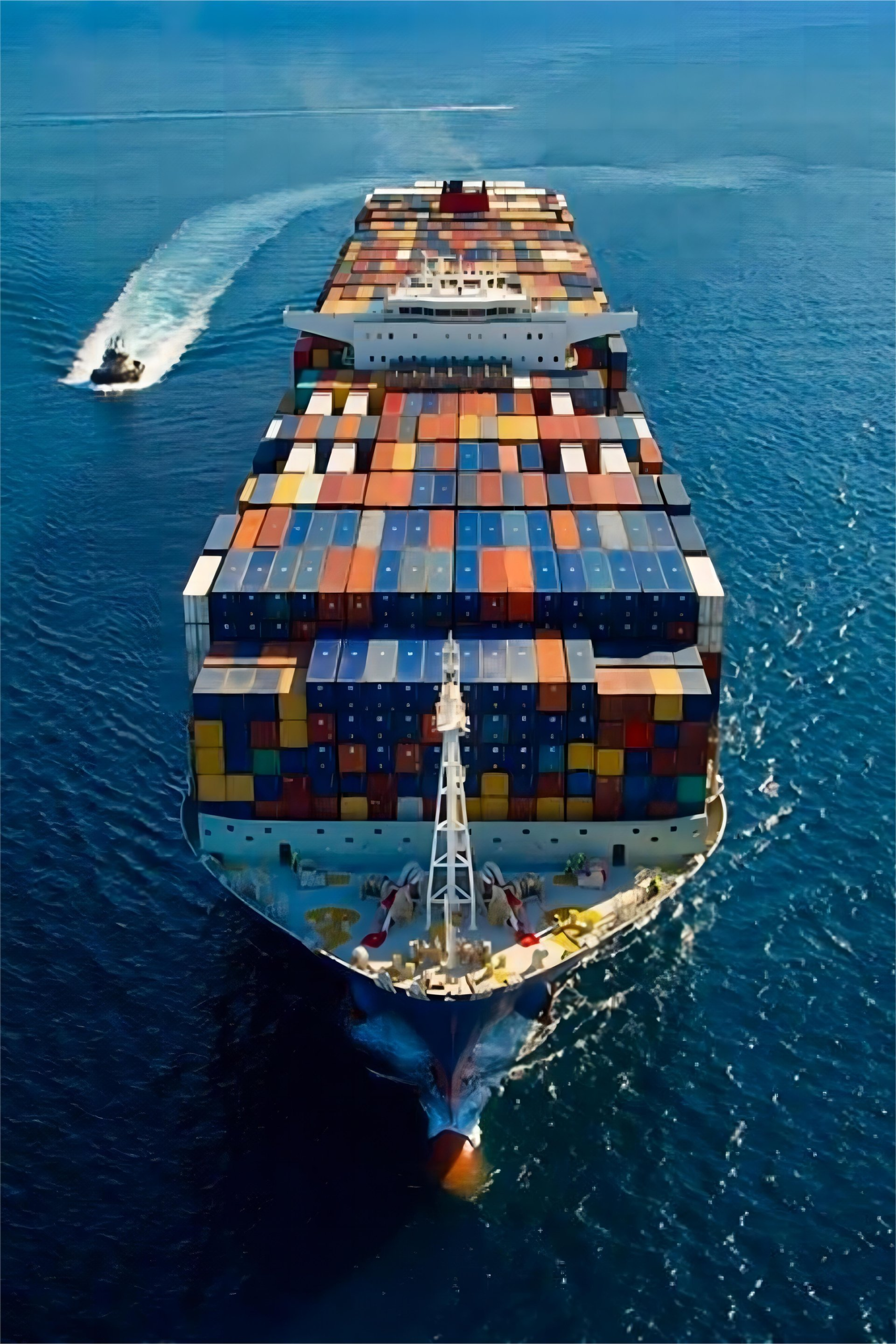Logistics manager reviewing shipping insurance documents